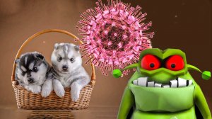 ЩЕНЯТА, ВИРУС, КАМНЕЕЖКА!! (Хаски Бублик) Говорящая собака Mister Booble