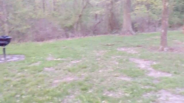 Где люди в Американских парках? смотреть онлайн