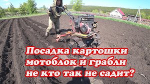 ПОСАДКА КАРТОШКИ В БОРОЗДЫ ПРИ ПОМОЩИ МОТОБЛОКА.