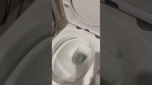 Унитаз Bloomix Trend 1203 + инсталляция Grohe