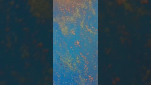 Silhouette of a Football player ⚽?️? //Studio Magic// Elaine Gomes. смотреть онлайн