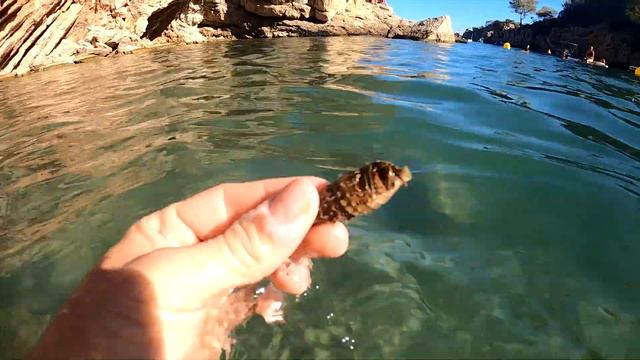 МАЙОРКА ВИДЕО ВЛОГ (ИСПАНИЯ) PALMA DE MALLORCA / САМАЯ ВЫСОКАЯ ТОЧКА НА ОСТРОВЕ смотреть онлайн