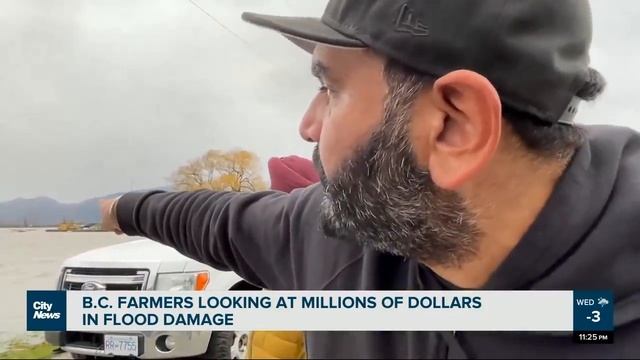 Dream home drowning underwater: Abbotsford farmer says recovery costs are unimaginable смотреть онлайн