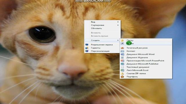 Как настроить спавнер в S.T.A.L.K.E.R Call of Chernobyl. Решение! смотреть онлайн