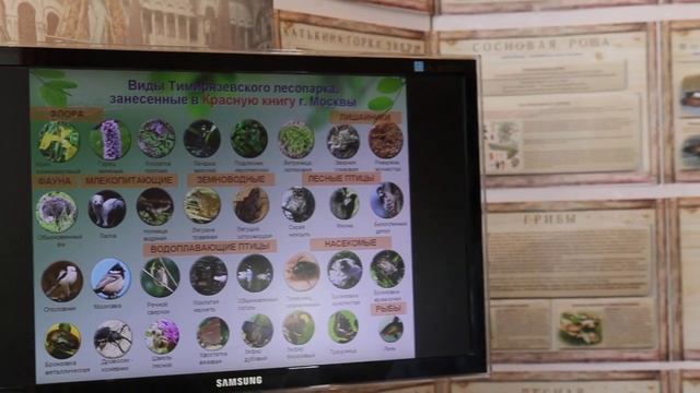 Кузьминых А.М. «Экологическая тропа «Тимирязевский парк» смотреть онлайн