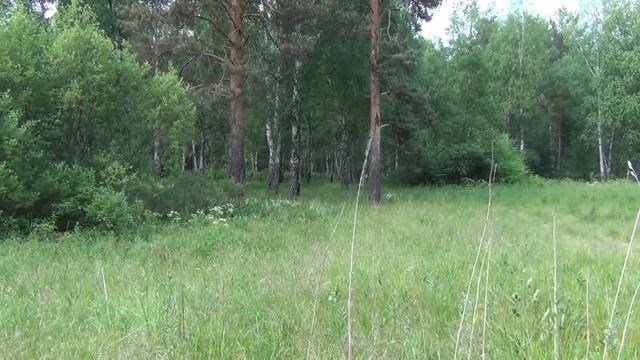 #Духов день Земля именинница. смотреть онлайн