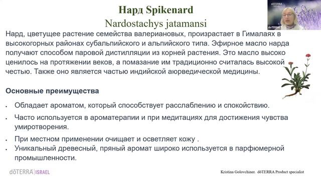 Oткройте для себя интересную информацию о эфирных маслах, участвующих в акции февраля 2024 года! смотреть онлайн