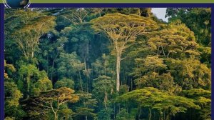 Центральная Африка