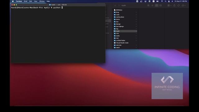 python virtual environment for begginers смотреть онлайн