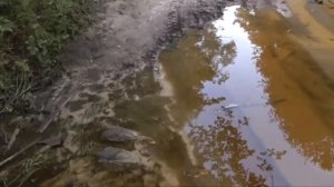 Дороги около базы ГЕОХИ