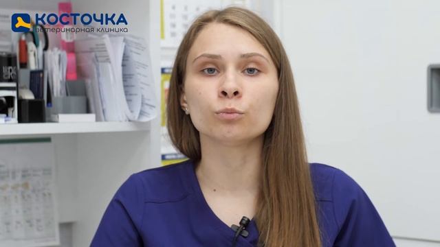 Почему собака ест экскременты? смотреть онлайн
