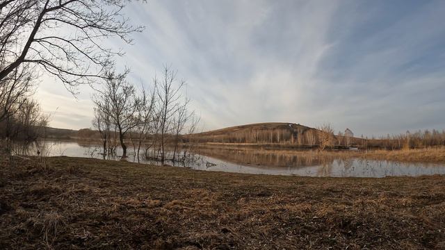 Весенняя охота на селезня с подсадными смотреть онлайн