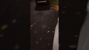 Быстрая замена ксеноновых ламп без снятия колёс Mazda 3 BM