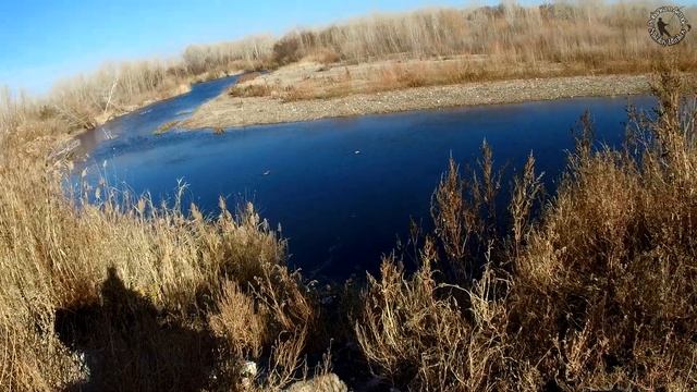В поисках щуки и окуня в октябре р Илек г Актобе 2021г смотреть онлайн