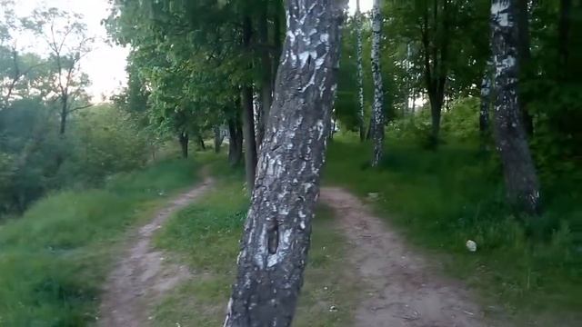 2491 Левый берег реки р Орлик возле парка Победы, кукушка берёзы гнездо Советский район город Орел смотреть онлайн
