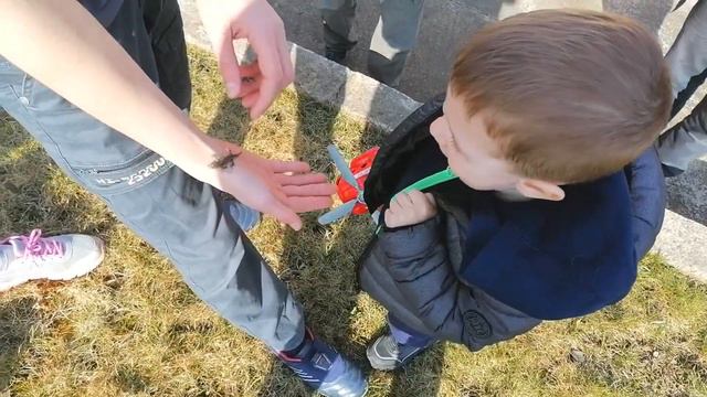 Отмечаем День Рождения на даче 08.04.2023 смотреть онлайн