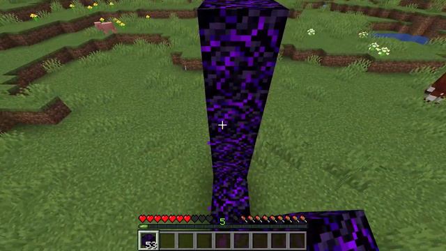 Crying Obsidian Nether Portal in Minecraft Snapshot 20w09a смотреть онлайн