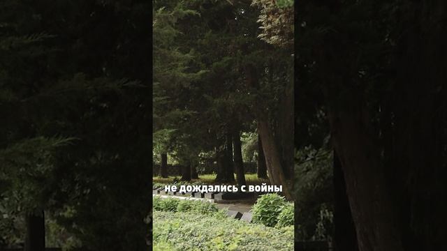 Битва за Кавказ: несломленный хребет | Финальная серия