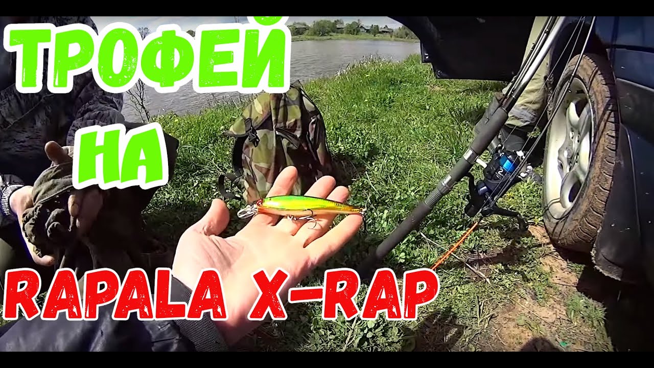 Трофей на Rapala X-Rap с Алиэкспресс. Разловил DUO Realis от Bearking, Jackall Magallon.mp4