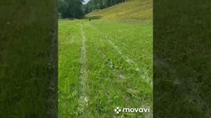 Самый лучший патрон. Cz 550 308 win патрон нпз полуоболочка