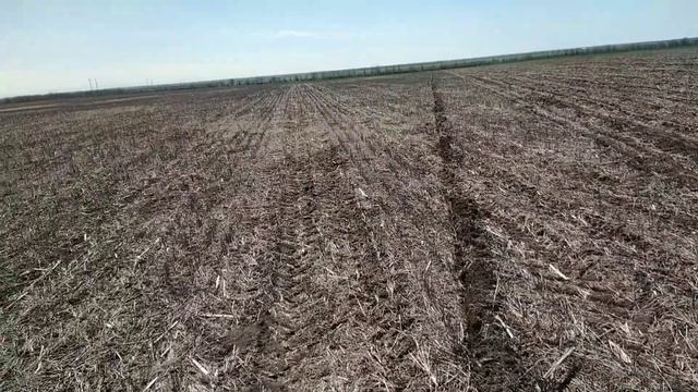 04.05.2021. Посев подсолнечника с междурядьем 35см! No-till !!! смотреть онлайн