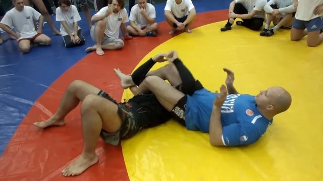 Болевые приемы на руку. Семинар Федора Емельяненко в Ульяновске (submission by Fedor Emelianenko) смотреть онлайн