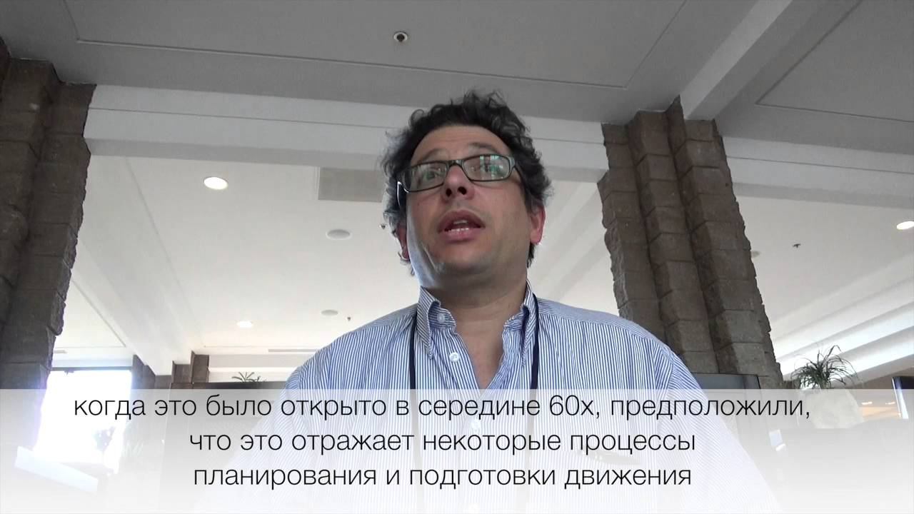 New expriment relevant to Free Will смотреть онлайн