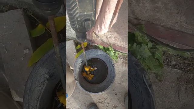 Выборка тыквенных семечек. смотреть онлайн