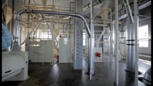 Производство овсяных хлопьев на оборудованию  Schule Mühlenbau