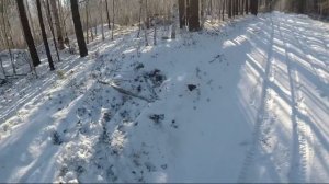 Попался 29й волк и его украли. Охота на волка в Бурятии