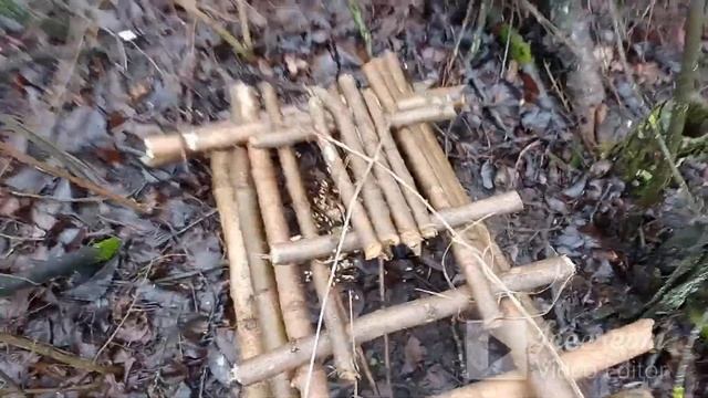 ЛОВУШКА НА ФАЗАНА ПИРАМИДА!!!ЕСТЬ ФАЗАН!!!