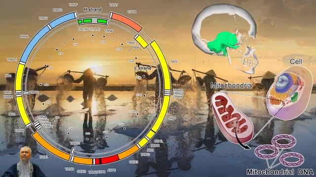 История происхождения населения Юго-Восточной Азии. Австронезийские и австроазиатские языки смотреть онлайн