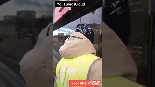 ДПС, посмотрите на этих животных смотреть онлайн