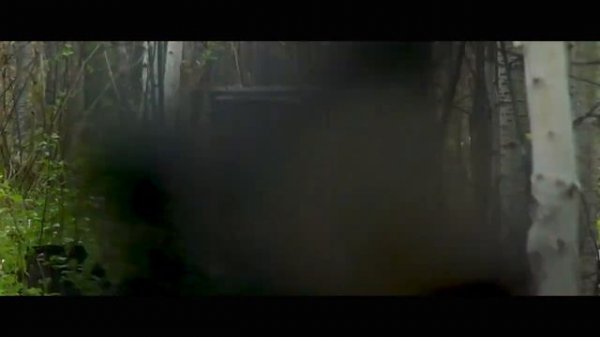 Лук блочный Grim. Настройка и пристрелка