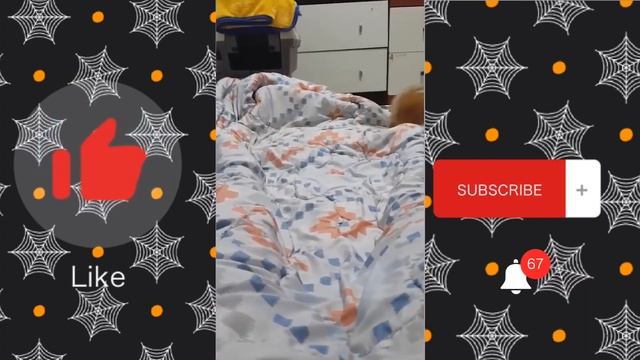 Funny Cats video ??? #Part2 смотреть онлайн