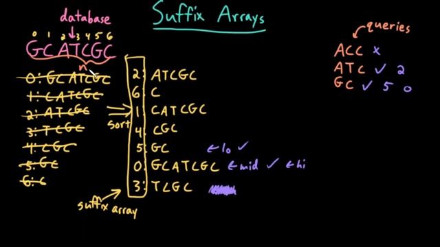 Advanced Data Structures: Suffix Array Search смотреть онлайн