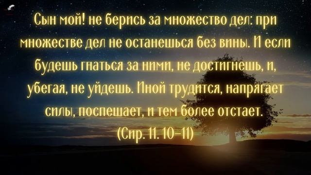 Мудрые Цитаты из Библии смотреть онлайн