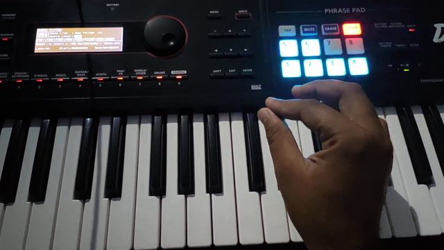 new punjabi loops 2021 | Roland XPS 30 & xps 10 new punjabi loops смотреть онлайн