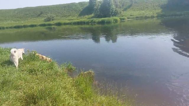 Вижу цель не вижу препятствий смотреть онлайн