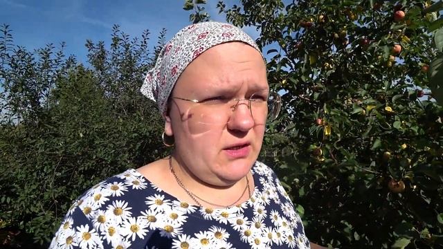 Почему яблоки становятся прозрачными? смотреть онлайн