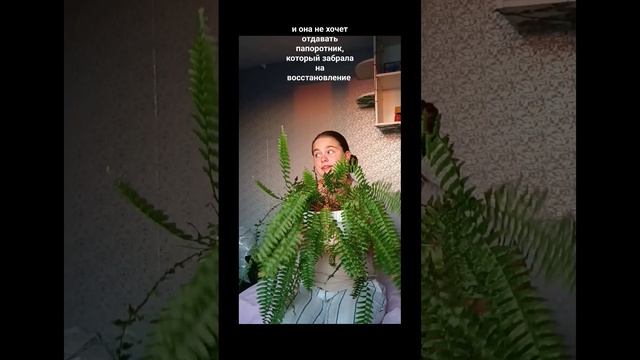 Подписывайтесь, у меня много полезного о растениях!#растения #уход #комнатныерастения #комнатные смотреть онлайн