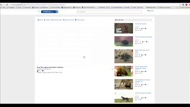Это наша первая тренировка, как пройти тест в проекте THWGlobal! смотреть онлайн