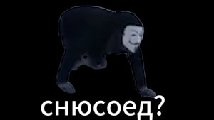 обзор на домашнего снюсоеда