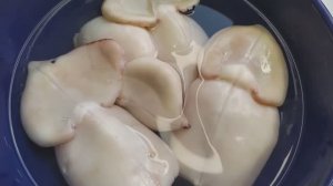 🦑🌿🦑Забудьте о Резиновых Кальмарах💯 Идеальные Кальмары Без Варки, Без Чистки🌿