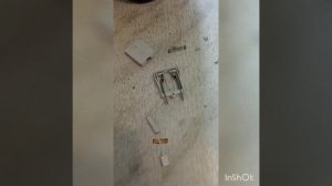 Холодильник Индезит, ремонт светильника своими руками