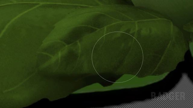 Making Peashooter from a Friday Night Funkin' Mod in Photoshop | Speed Edit | Plants Vs. Zombies смотреть онлайн