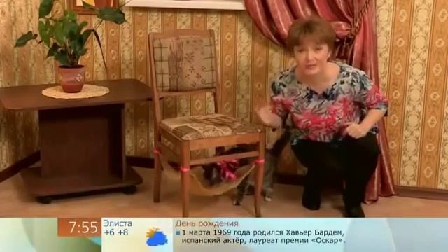 Полезны Советы Гамак для кошки смотреть онлайн