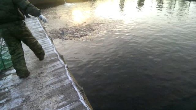 П244 - Крестовский остров, рыбалка - день 8 - видео 5 - Немец опять офигевает в России смотреть онлайн