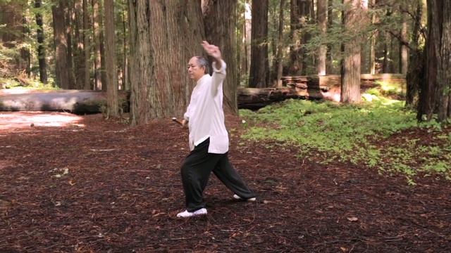 Tai Chi Sword 54-form by Master Yang (YMAA) 楊氏太極劍 － 五十四式 смотреть онлайн