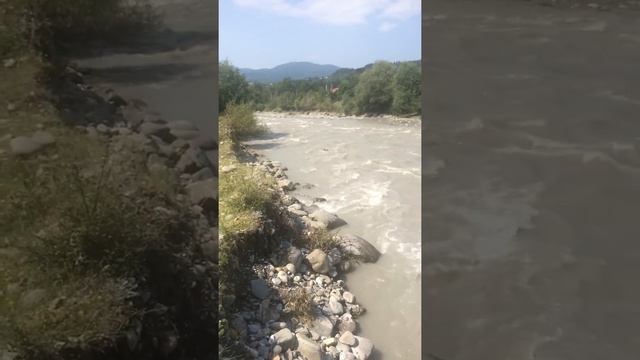 АЛАНО Аланская собака смотреть онлайн